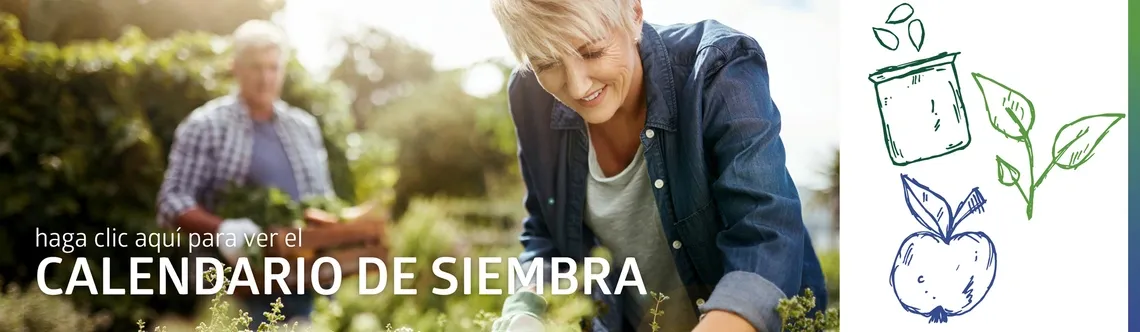 Calendario de siembra