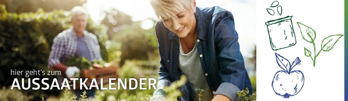 Banner Aussaatakalender
