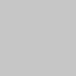 Farbe silber-metallic Farbe silber-metallic