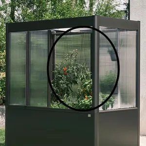 Trellis for greenhouse Florentina